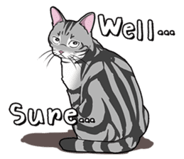 Cat American Shorthair(English ver.) sticker #1187502
