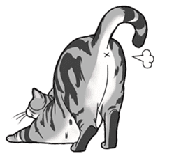 Cat American Shorthair(English ver.) sticker #1187504