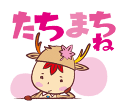 Miyajika-kun sticker #1187579