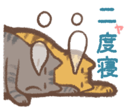 Cat weather sticker #1188159