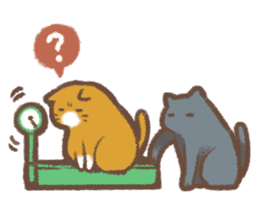 Cat weather sticker #1188166