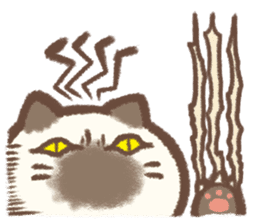 Cat weather sticker #1188180