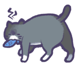 Cat weather sticker #1188181