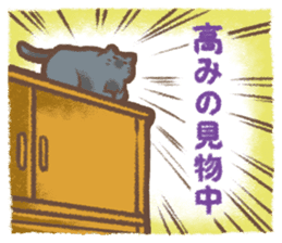 Cat weather sticker #1188185