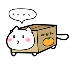 Box Cat sticker #1189026