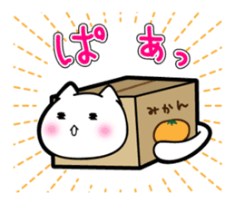 Box Cat sticker #1189027