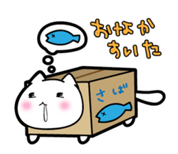Box Cat sticker #1189028