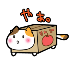 Box Cat sticker #1189030
