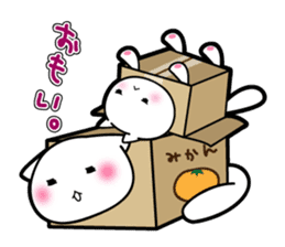 Box Cat sticker #1189034