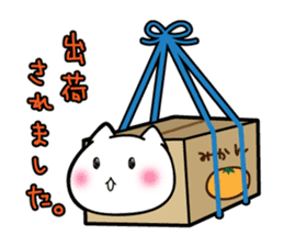 Box Cat sticker #1189039