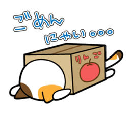 Box Cat sticker #1189040