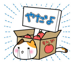 Box Cat sticker #1189044