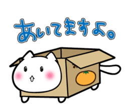 Box Cat sticker #1189045