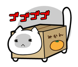 Box Cat sticker #1189047