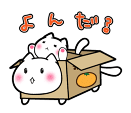Box Cat sticker #1189048