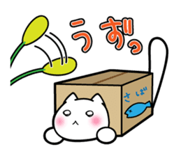Box Cat sticker #1189052