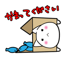Box Cat sticker #1189053