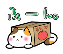 Box Cat sticker #1189057