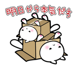 Box Cat sticker #1189060