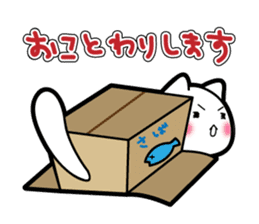 Box Cat sticker #1189061