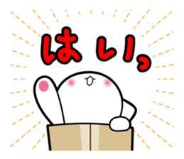 Box Cat sticker #1189062