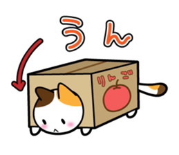 Box Cat sticker #1189064