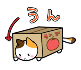 Box Cat sticker #1189064