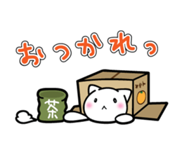 Box Cat sticker #1189065