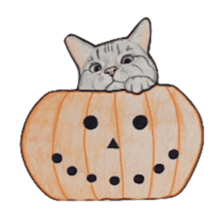 Halloween cat Sticker sticker #1189629