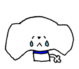 Maltese sticker #1194069