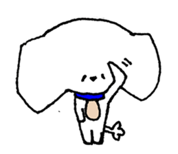 Maltese sticker #1194081