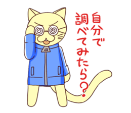 Jersey cat sticker #1194611