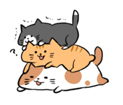 chewy and soft cat sticker #1194633