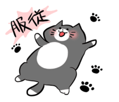 chewy and soft cat sticker #1194654