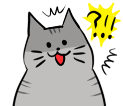 chewy and soft cat sticker #1194660