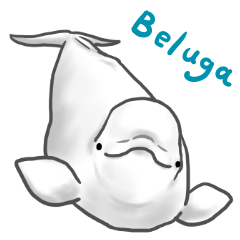 Beluga Sticker By Chisa Inada Beluga Sticker By Chisa Inada