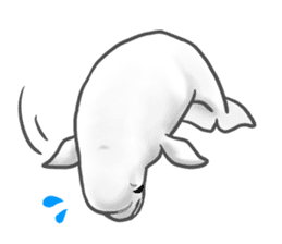 Beluga Sticker By Chisa Inada Sticker