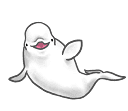 Beluga Sticker By Chisa Inada