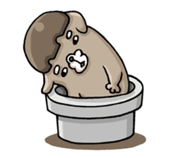 ROCK COLLECTION sticker #1195854