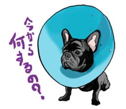 frenchbulldog's TOYkun 2 sticker #1197389