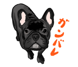frenchbulldog's TOYkun 2 sticker #1197411