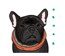frenchbulldog's TOYkun 2 sticker #1197415