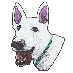 Alba of a White Shepherd and Friends (J)