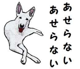 Alba of a White Shepherd and Friends (J) sticker #1198666