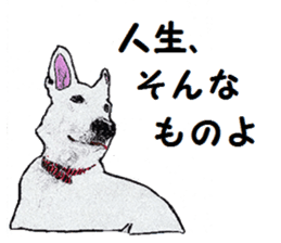 Alba of a White Shepherd and Friends (J) sticker #1198667