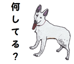 Alba of a White Shepherd and Friends (J) sticker #1198670