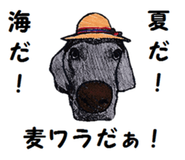 Alba of a White Shepherd and Friends (J) sticker #1198672