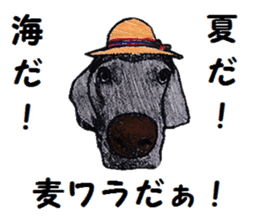 Alba of a White Shepherd and Friends (J) sticker #1198672