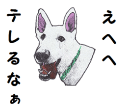 Alba of a White Shepherd and Friends (J) sticker #1198674