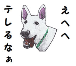 Alba of a White Shepherd and Friends (J) sticker #1198674